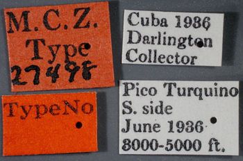 Media type: image;   Entomology 27498 Aspect: labels